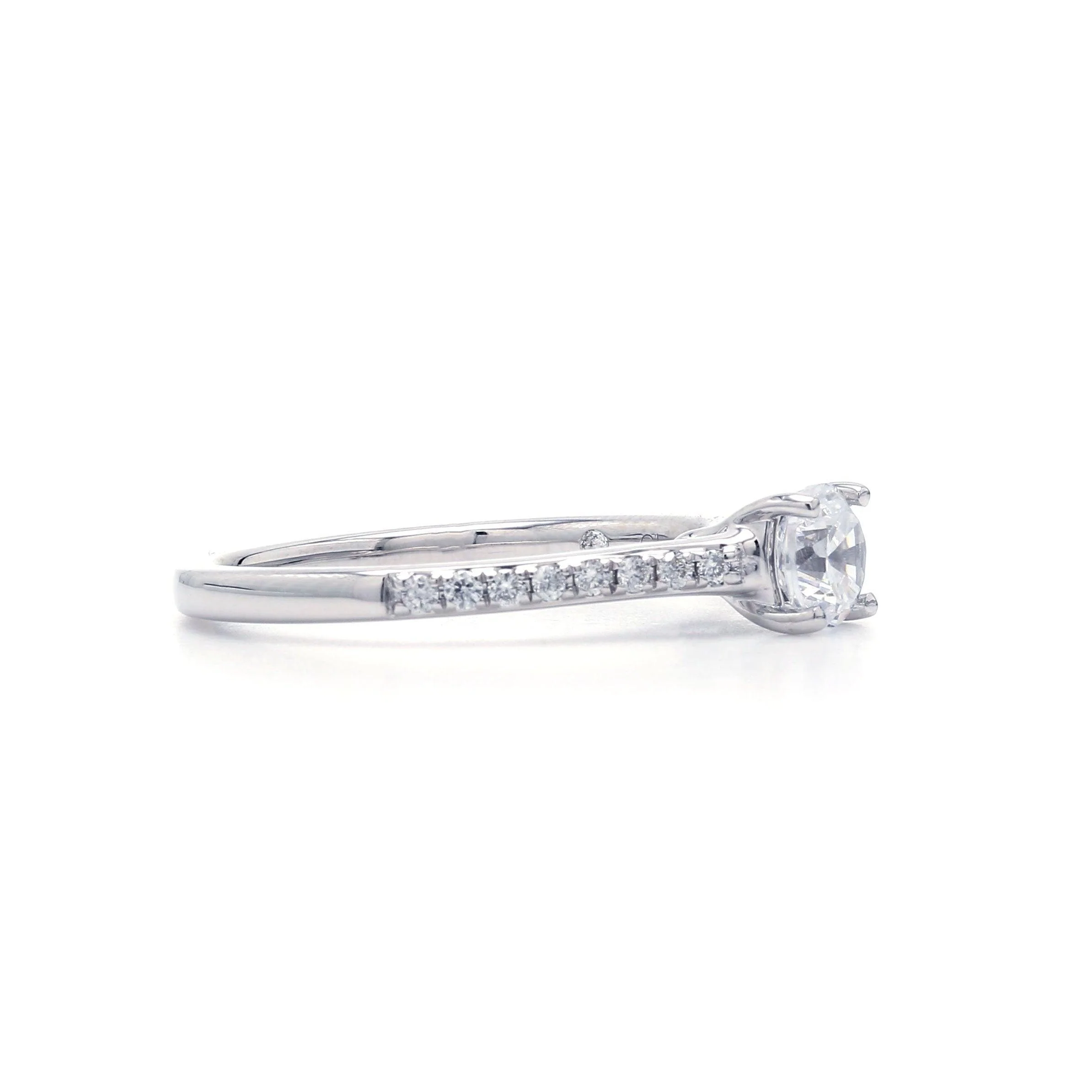 Daisy Setting - Image 4